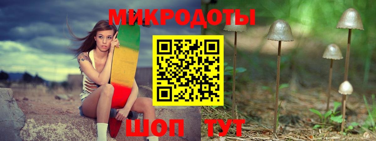 Красноярск  Псилоцибиновые грибы прущие грибы  Вход с VPN 